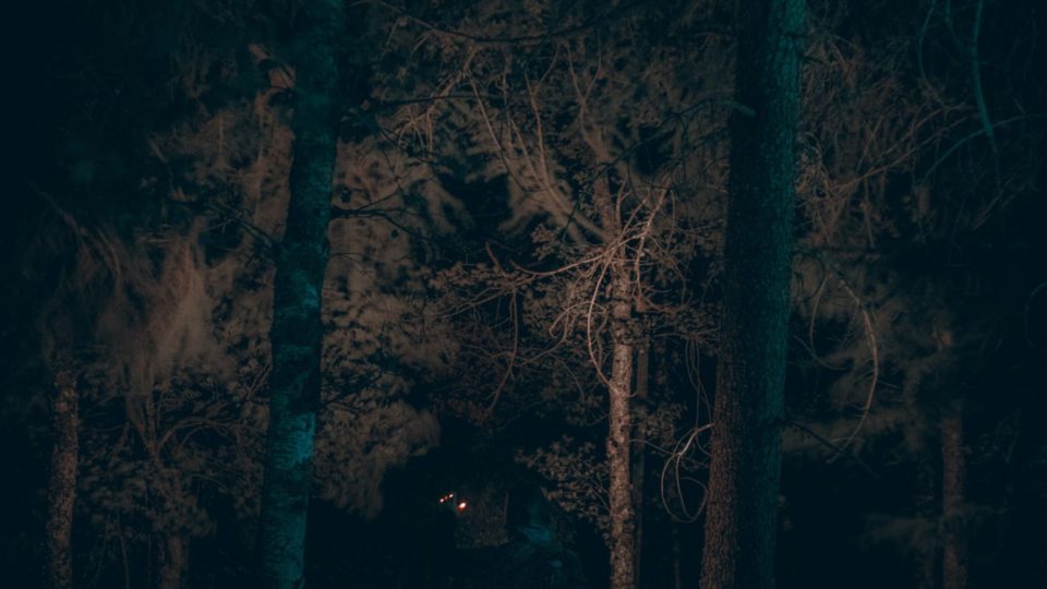 man in black jacket standing on forest during daytime